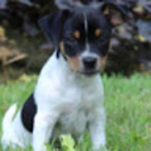 Meet your Posher, Mckaylah